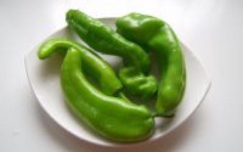 豆豉辣椒的做法