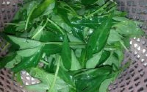 炒红薯叶的做法