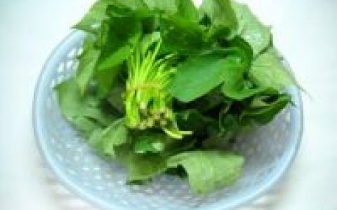 蒜蓉辣拌红薯藤的做法