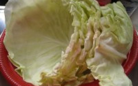 腌酸卷心菜做法